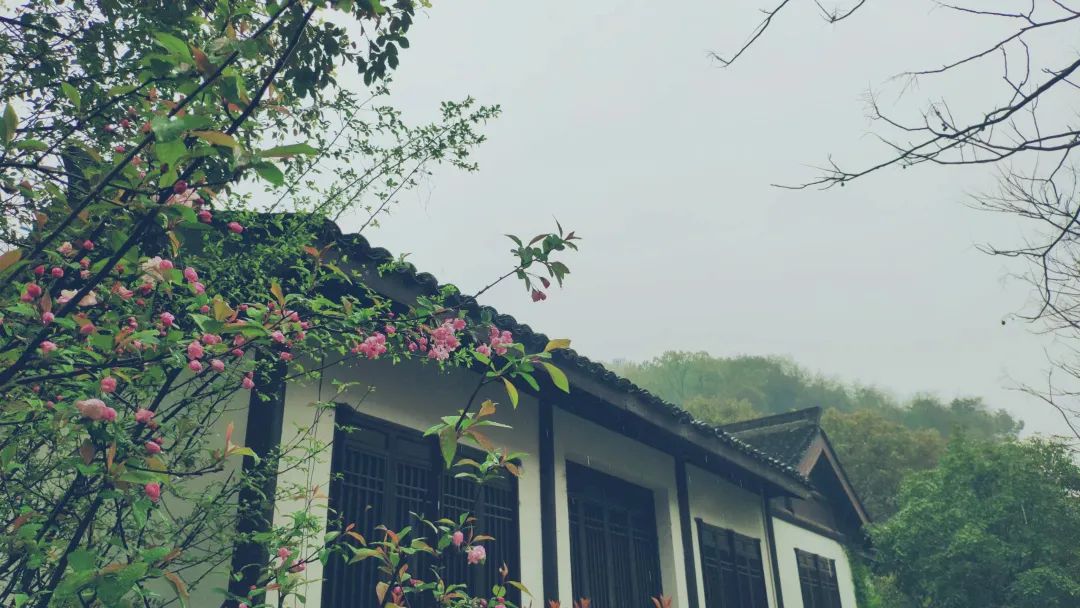 杭州茶書(shū)院?jiǎn)⒛?| 當(dāng)代「韓熙載夜宴」，復(fù)現(xiàn)中國(guó)文人雅趣生活插圖16
