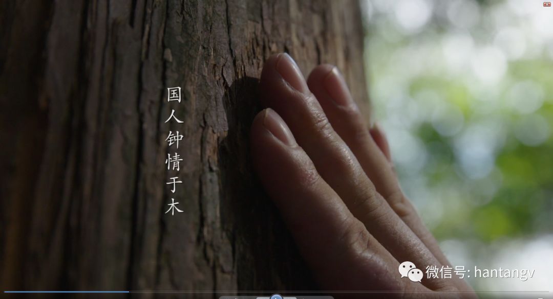 漢唐最新宣傳片《漢唐匠心》震撼發(fā)布！插圖2
