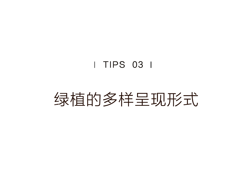 特別策劃 | 茶室中國 NO.1 時節(jié)的詩意插圖34 特別策劃 | 茶室中國 NO.1 時節(jié)的詩意插圖34